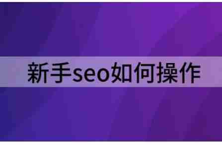 新手做seo怎么做（新手seo如何操作）