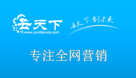 全網(wǎng)營銷
